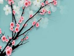 陰歷11月11日生辰八字是什么 陰歷11月11日是什么命