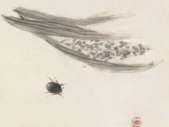 屬猴巨蟹座2023年運勢