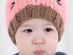 歷史上姓苑的名人有哪些 姓苑的古代名人有哪些