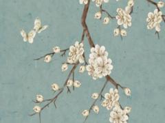 八字看何時結婚視頻 八字看何時結婚案例