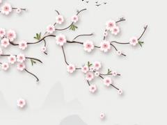 八字硬弱指的是什么 八字硬是什么意思啊