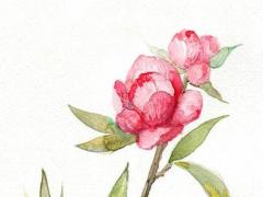 2020年12月5日出生的寶寶起名提示 2020年陽歷12月5日出生的鼠寶寶命運