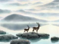 屬蛇的人適合首飾 屬蛇人的配飾