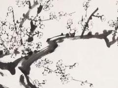 八字命里的印代表什么 八字當(dāng)中的印