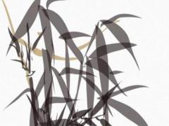 八字缺什么對婚姻不好 八字缺什么對婚姻不好的人