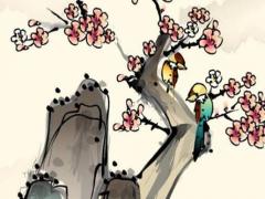 周姓缺木取名大全 2022年生肖虎取名喜用字