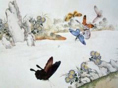 什么八字適合養(yǎng)鹿 什么八字適合養(yǎng)烏龜