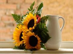 夢見老太婆進我家里 夢見老太太進家門