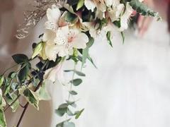 魔幻十二星座動態壁紙