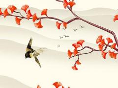 63年屬兔的女人今年怎么樣,63年屬兔女人的命運