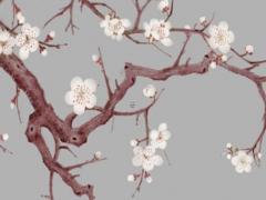 屬兔的女配什么屬相最合適,屬兔女配什么生肖