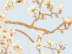 八字缺食神傷官會出現什么情況 五行缺食神傷官怎么辦