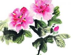 2023年屬龍和屬兔婚姻,2023年兔和2024年龍哪個好