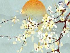 2023年蛇女應該佩戴什么