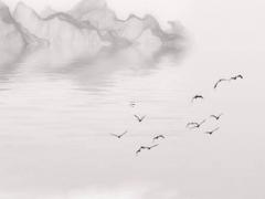 2023年生肖49碼圖波色,2023 生肖