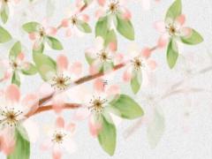 屬鼠男與屬鼠女婚配怎么樣 屬鼠男和屬鼠女的婚姻怎么樣