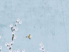 2023年生的小孩屬什么,2023年生寶寶的屬相