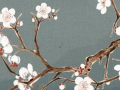 眉中有八字紋代表什么 眉中有八字紋的女人好不好