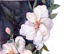 八字里丙火是什么時候 八字丙火是什么火
