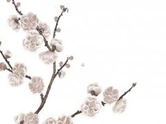 屬兔女人適合什么屬相 女人屬兔和什么屬相最好