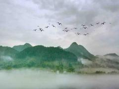 日柱看一生詳細分析 性功能強的日柱