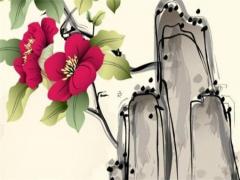 怎么查孩子的生辰八字缺什么忌什么 怎樣知道孩子生辰八字缺什么