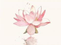 百家姓——蔣姓取名大全 蔣姓最好聽(tīng)的名字
