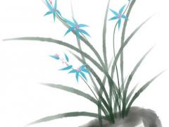 八字什么女命有福氣 八字什么女命有福氣好