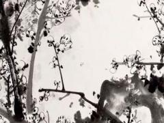 什么八字必取富家女 什么八字能娶富婆