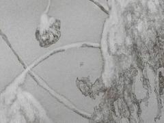 八字預測未來老婆什么樣何時結婚 八字測未來妻子年齡