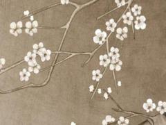 屬兔金牛女2023年運(yùn)勢及運(yùn)程,屬兔金牛女2023年運(yùn)勢及運(yùn)程