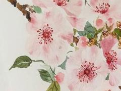 最需要掌握的男孩起名注意事項(xiàng)介紹 男孩起名指南