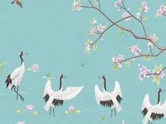 1977出生屬蛇運氣 1977年屬蛇運勢