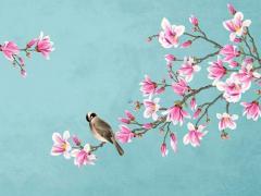 八字環和競技子線有什么區別 八字環與子線