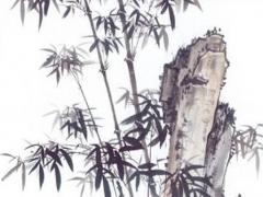 屬兔的男士配屬馬女,屬兔的男和屬馬的女在一起怎么樣