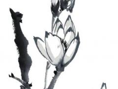 測試一個(gè)人喜不喜歡你 測試一個(gè)人喜不喜歡你的問題有哪些