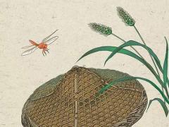 為什么要調成外八字 為什么會有外八字腳