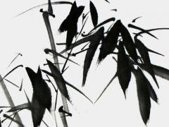 八字什么叫有根 八字里什么叫有根