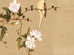 1990年屬馬的女人命運 1990年屬馬女的一生命運