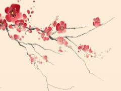 戊土日主的八字喜歡什么天干五行 戊土日主命例100例