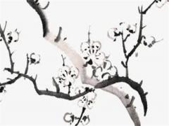 76年男屬龍和72年屬鼠,76年的龍和72年的鼠婚姻如何