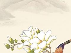 屬猴今年多大年齡表,屬雞的今年多少歲 年齡