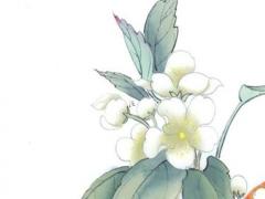 屬鼠在2023年怎么樣,屬鼠在2023年怎么樣運(yùn)氣好