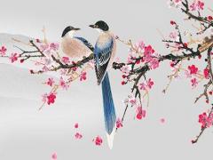 2023年生肖龍運勢如何呢,2023年屬龍運勢及運程