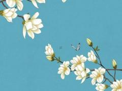 什么樣的八字命像易出家 什么八字的人出家不會還俗?