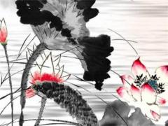 83年屬豬人生大劫,83年屬豬一生大劫年