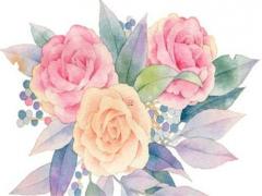 為什么知乎越來越弱智 為什么知乎的人這么厲害