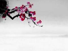 屬兔的今年的運氣怎么樣1975 屬兔的今年財運怎么樣1975