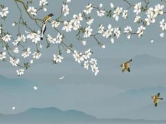 老師什么八字的人眼睛突出 八字眼的人性格