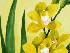 屬兔戴如意吊墜好嗎,屬兔的人戴玉吊墜好嗎